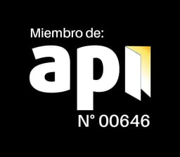 api logo